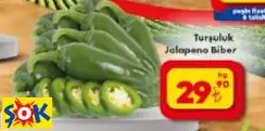 TURŞULUK JALAPENO BİBER TURŞULUK JALAPENO BİBER